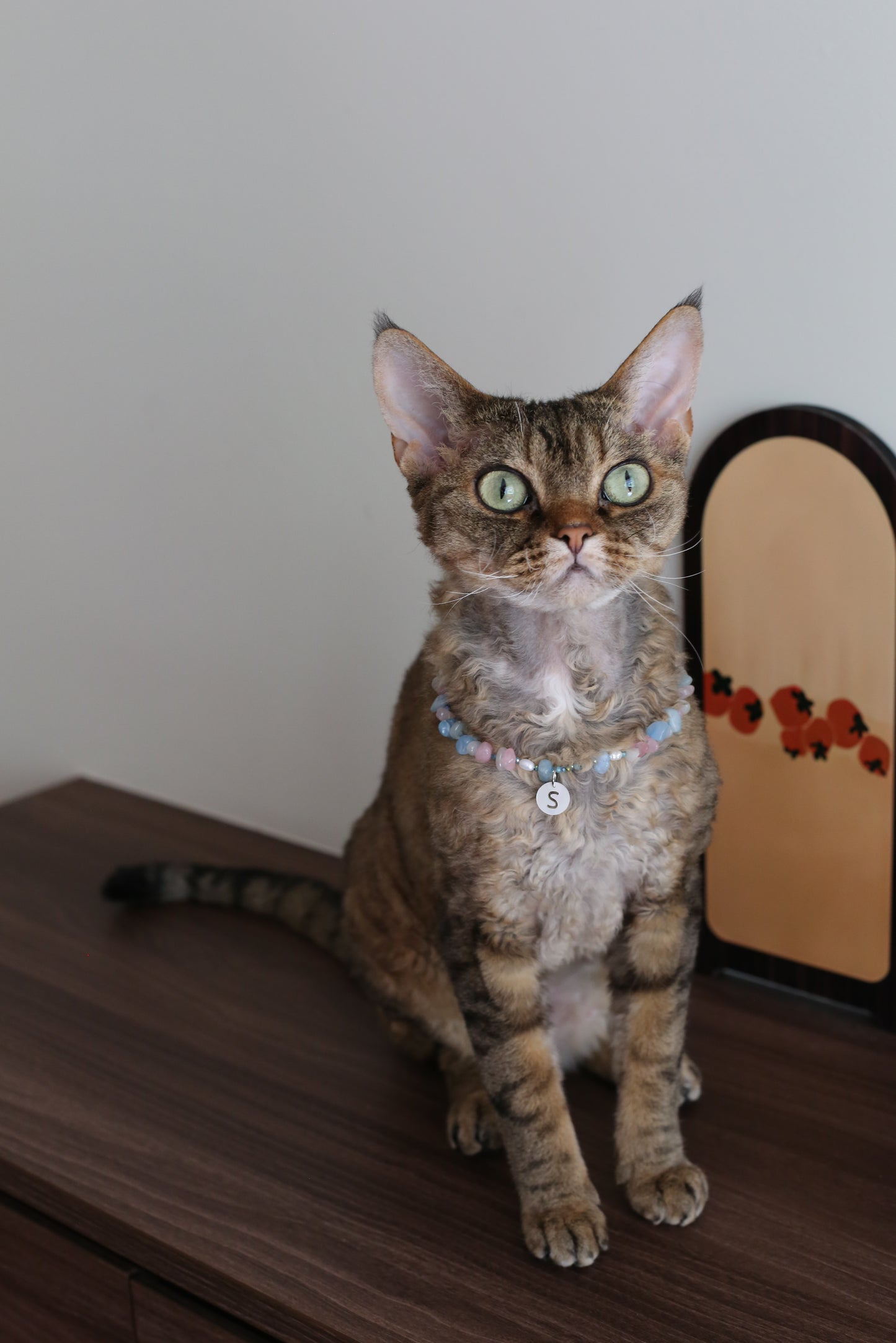 Cloud Mist Anxiety Relief Collar