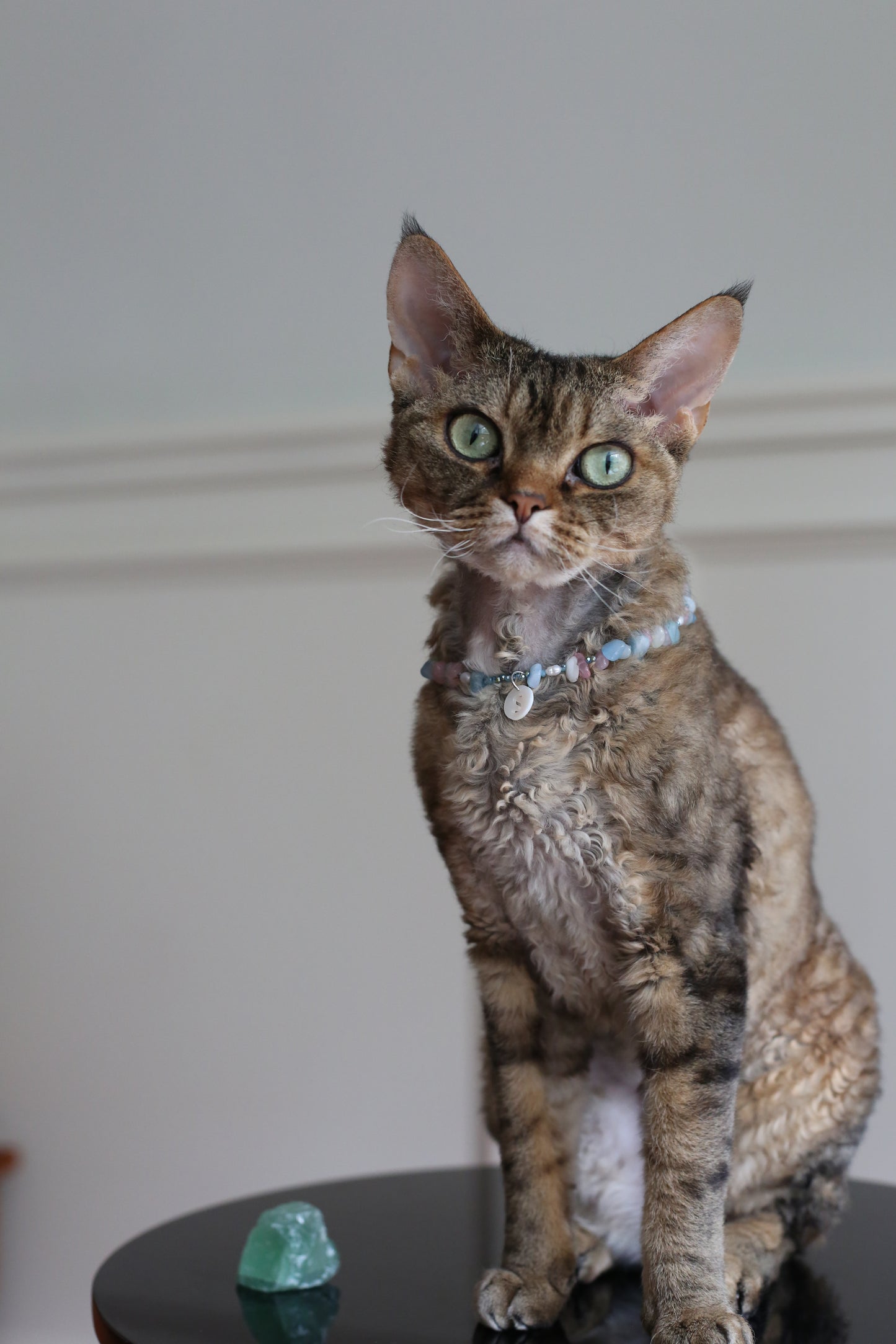 Cloud Mist Anxiety Relief Collar