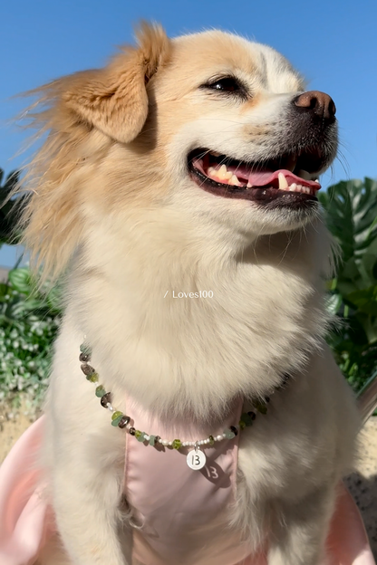 Forest Energy Collar