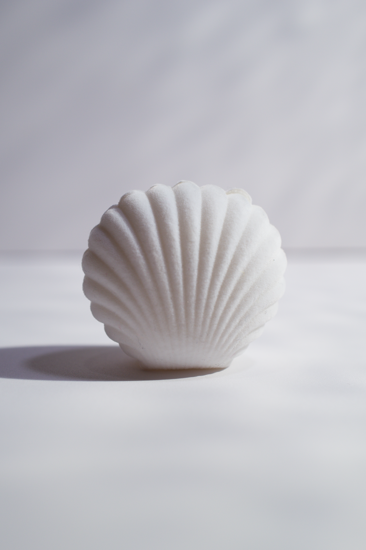 Shell Jewelry Box