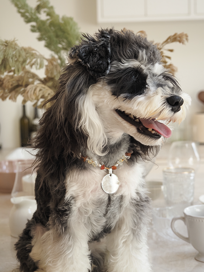 Protective Crystal Collar